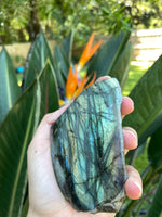 Load image into Gallery viewer, Labradorite (Raw, Half Polished) (Medium)
