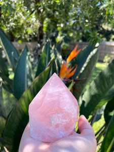 Rose Quartz Point (Large)