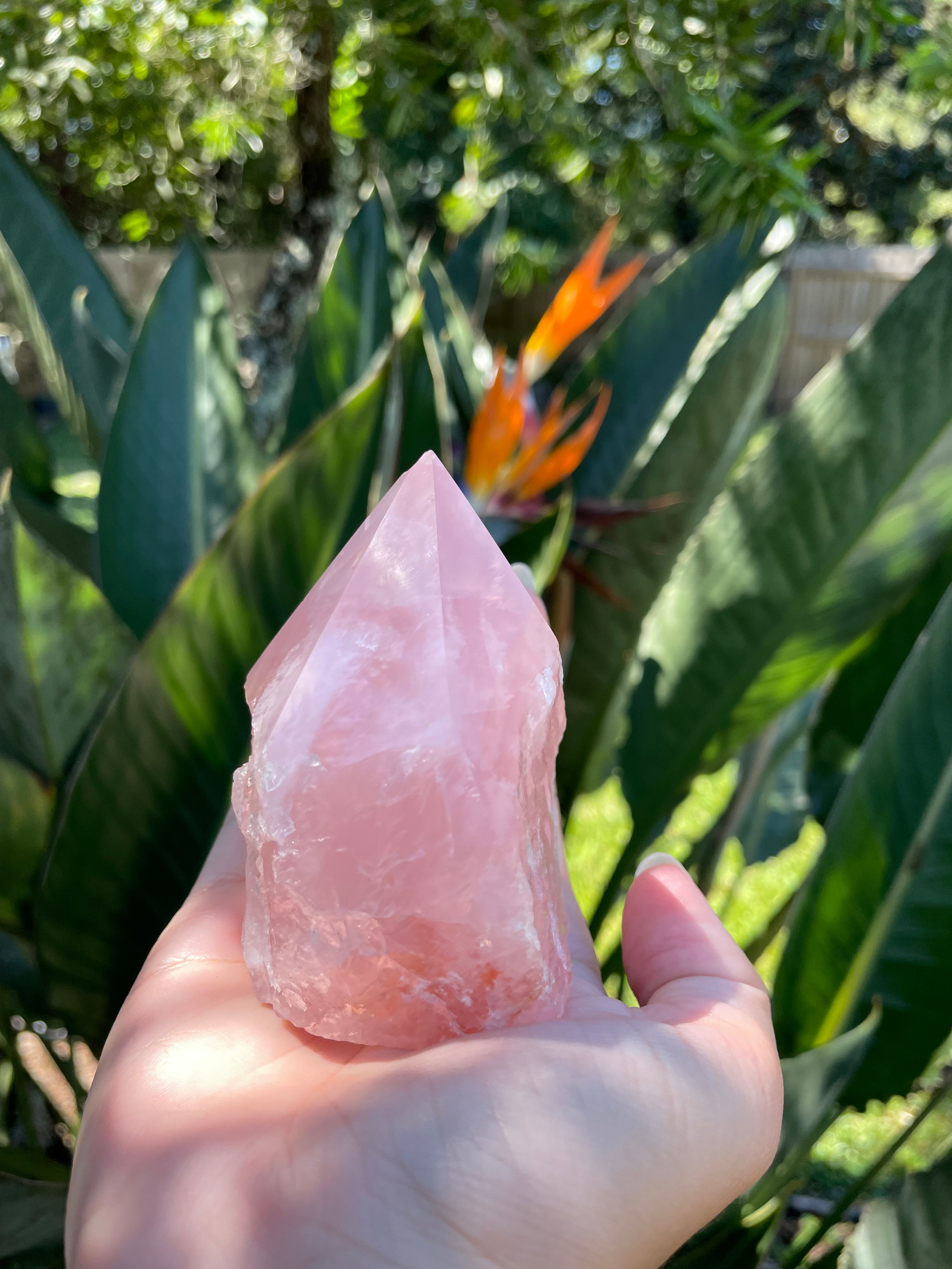 Rose Quartz Point (Large)