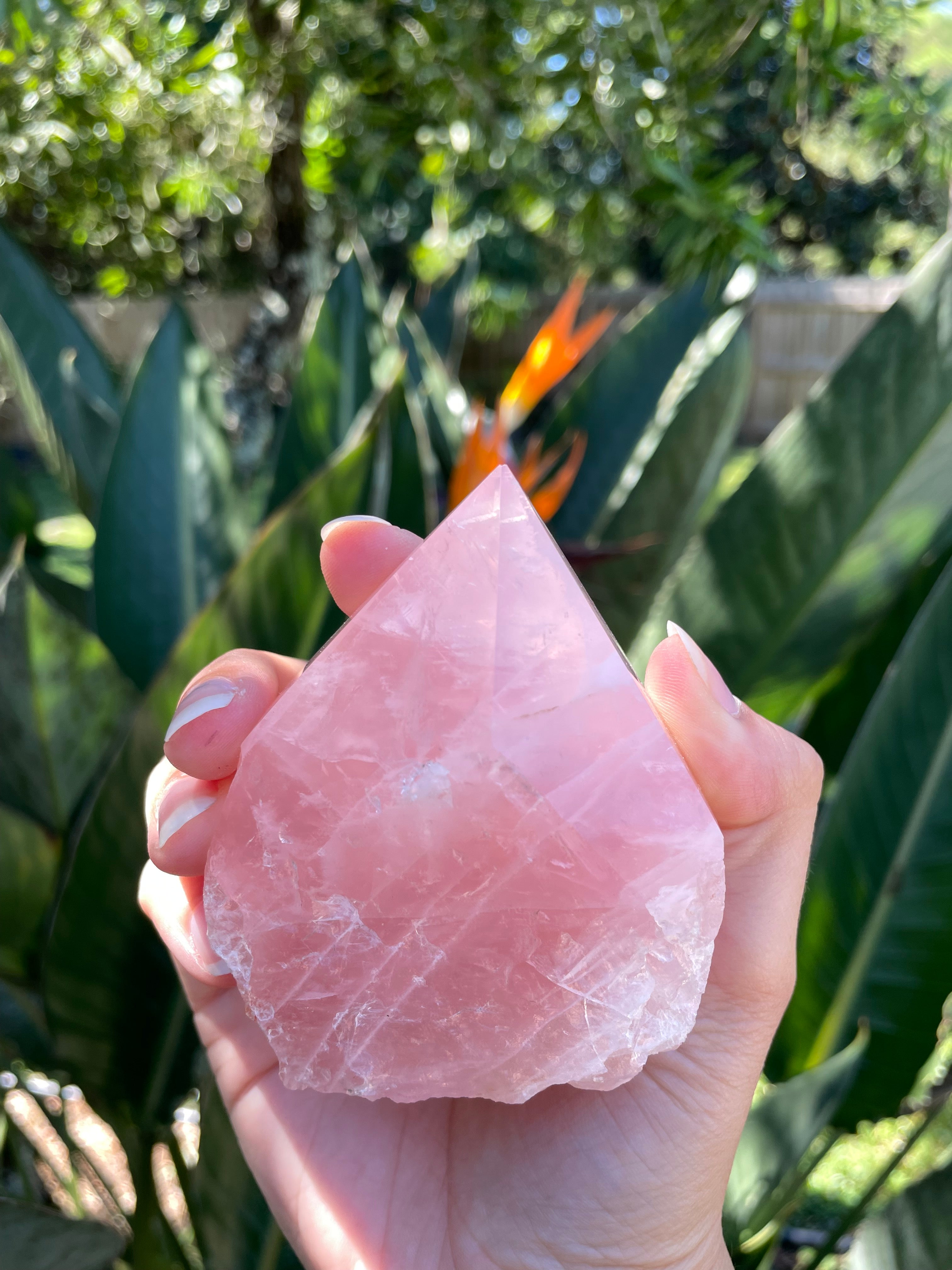 Rose Quartz Point (Large)