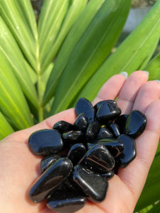 Black Obsidian Tumble