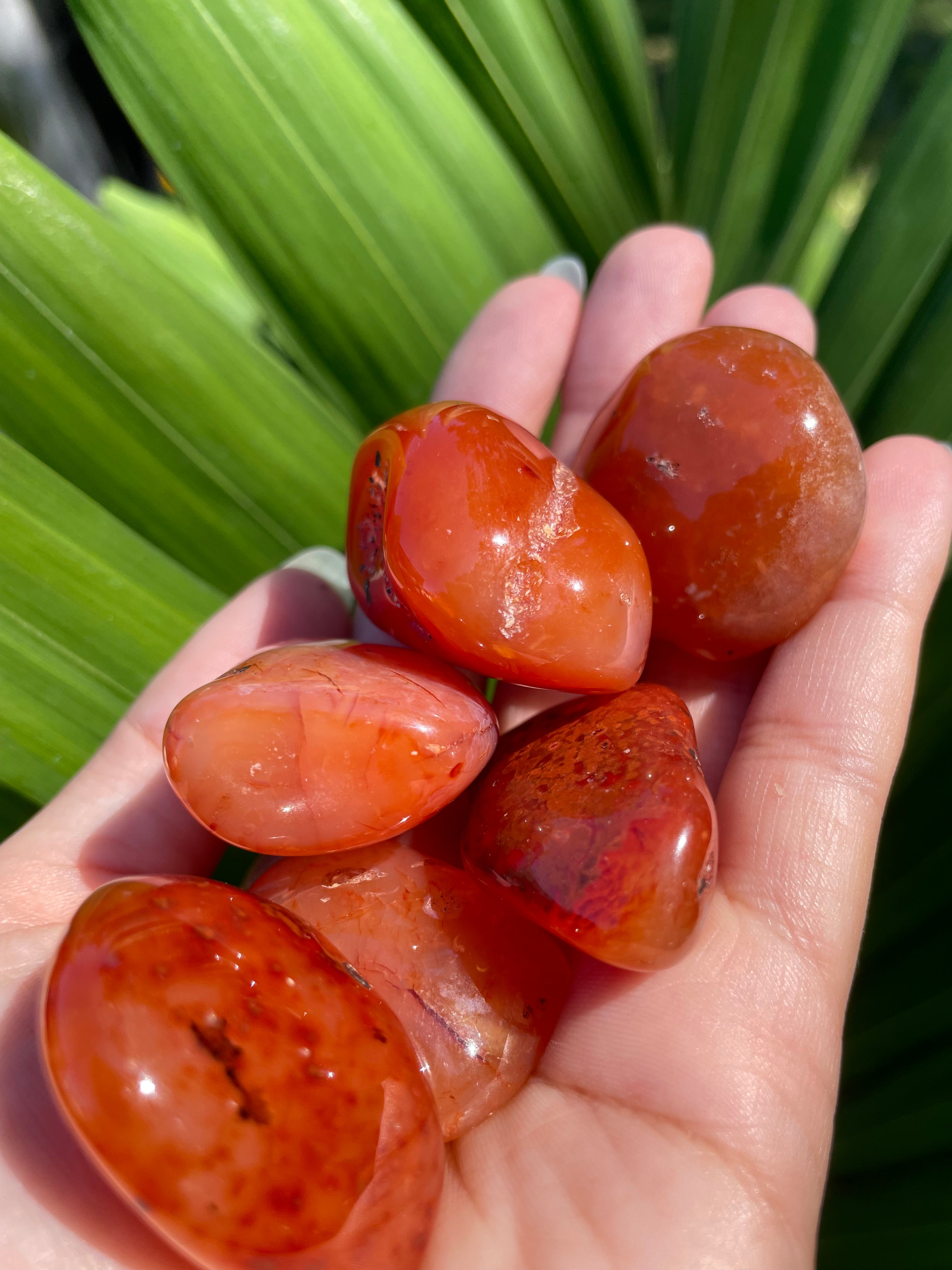 Carnelian Tumble