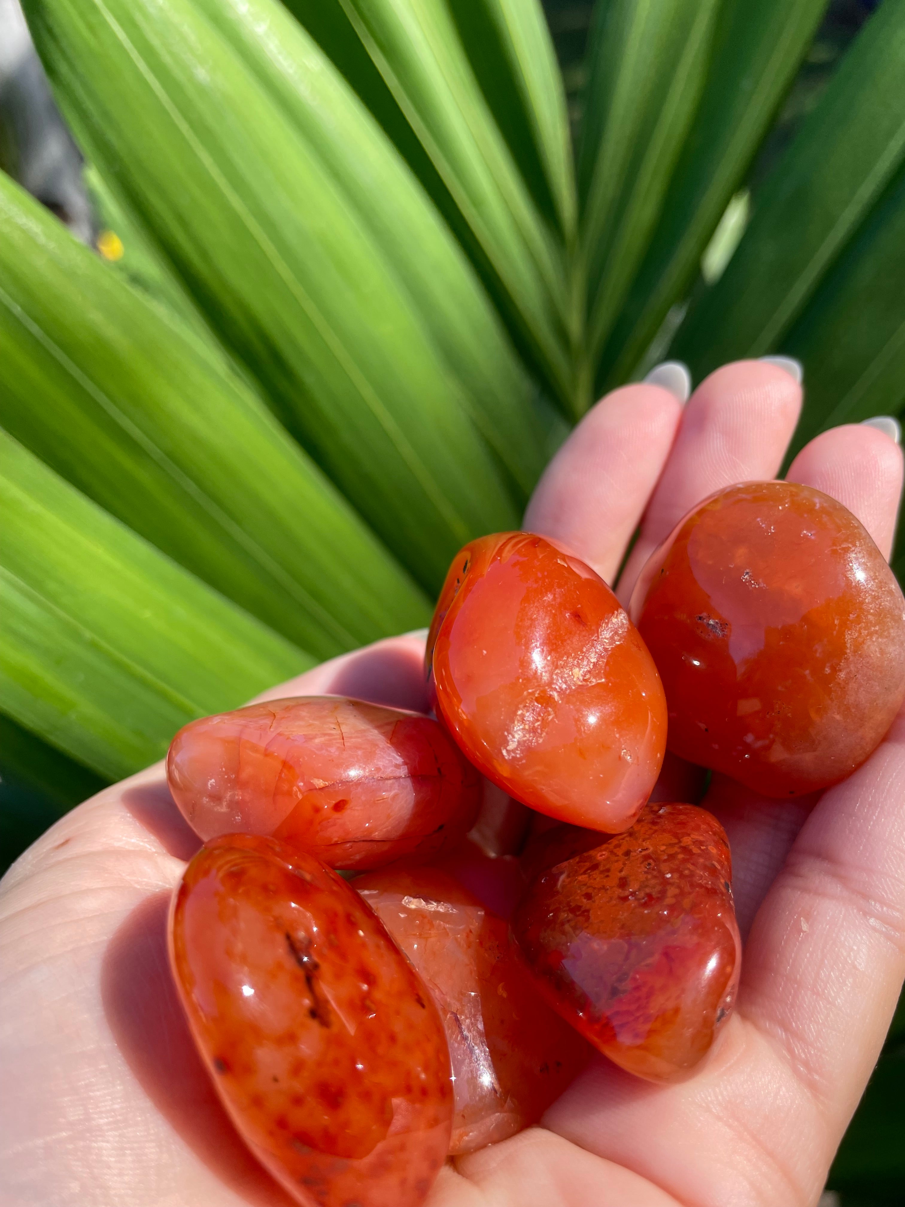 Carnelian Tumble