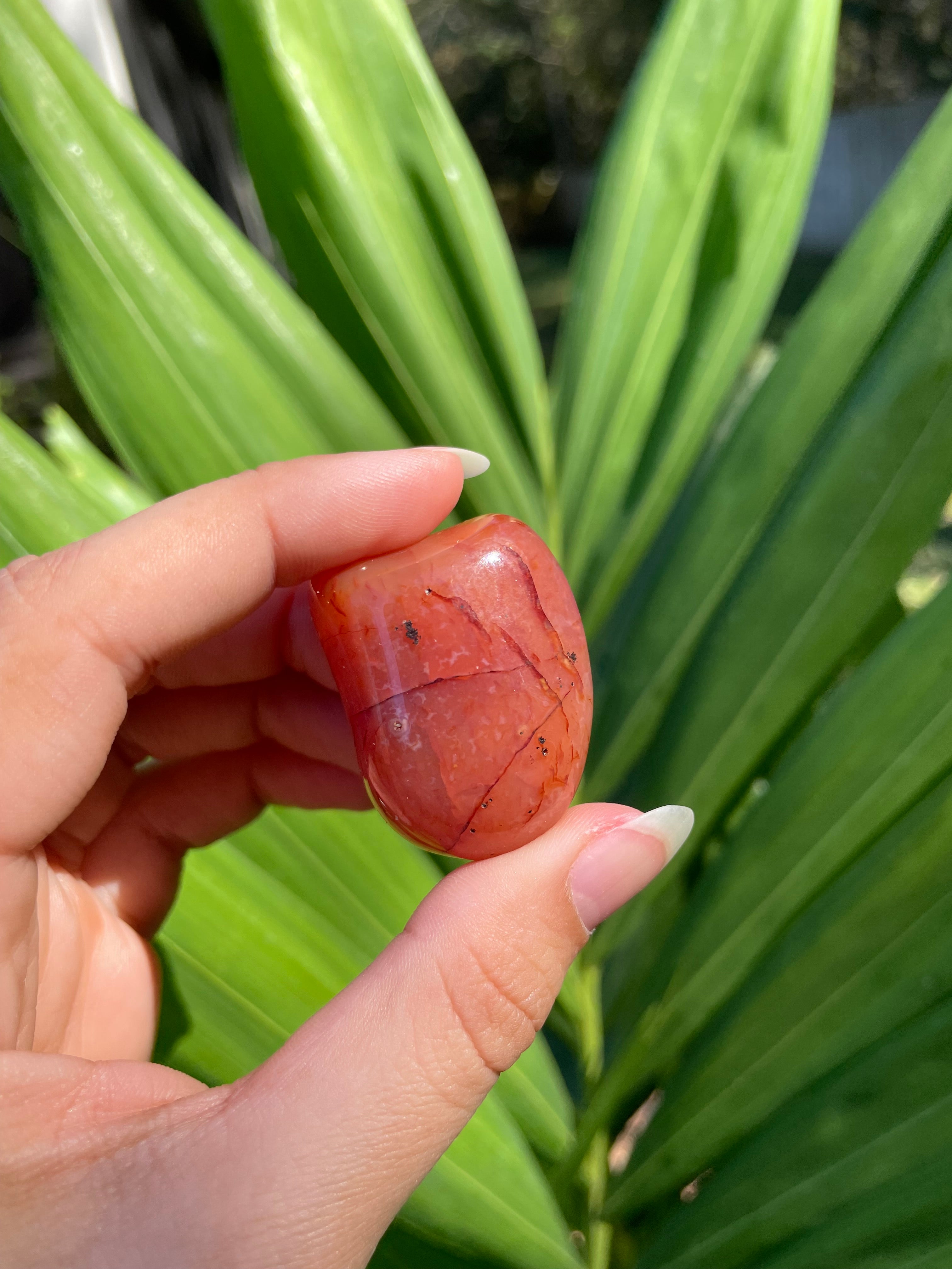 Carnelian Tumble