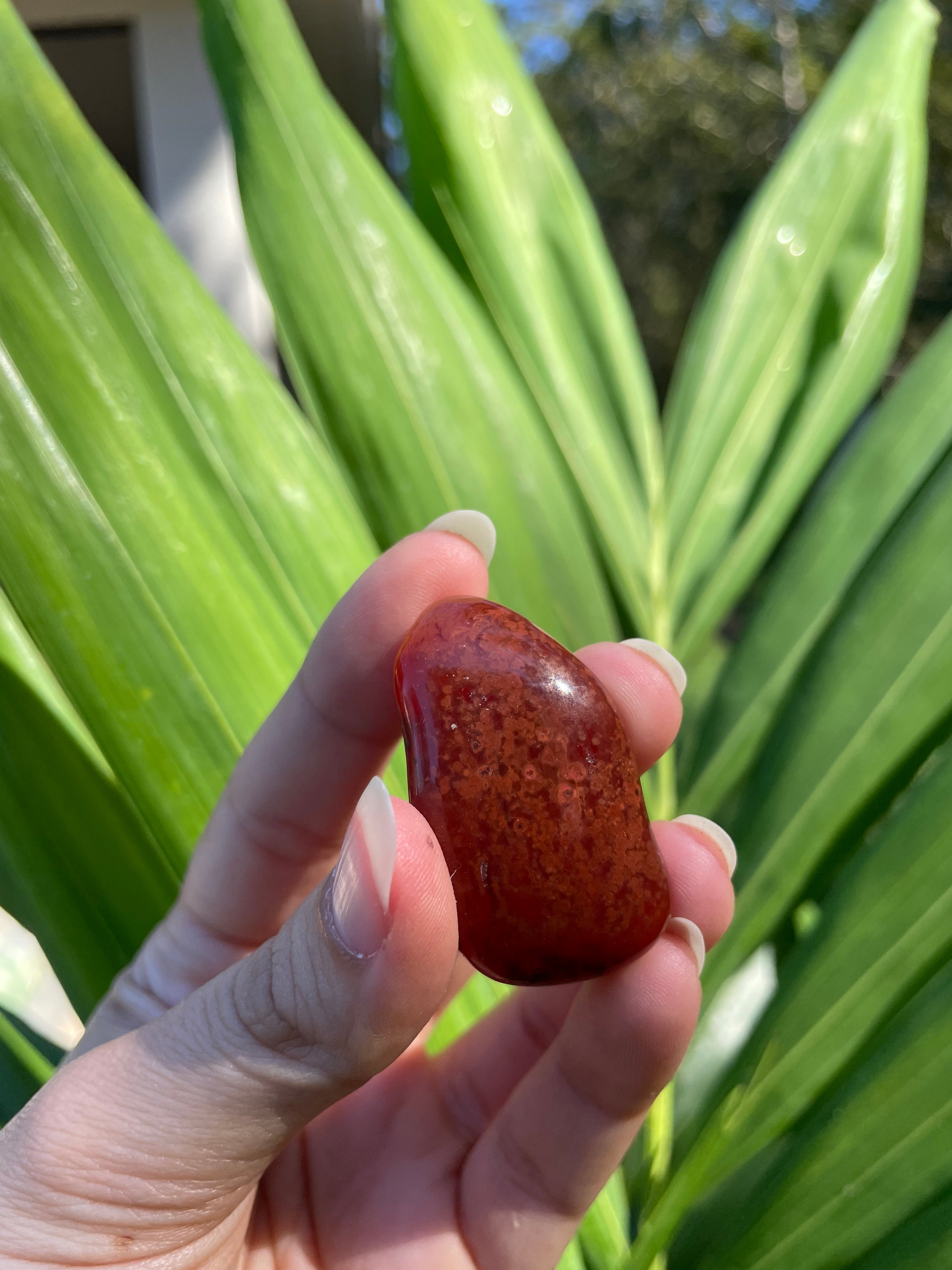 Carnelian Tumble