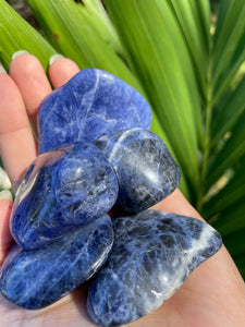 Sodalite Tumbles (Large)