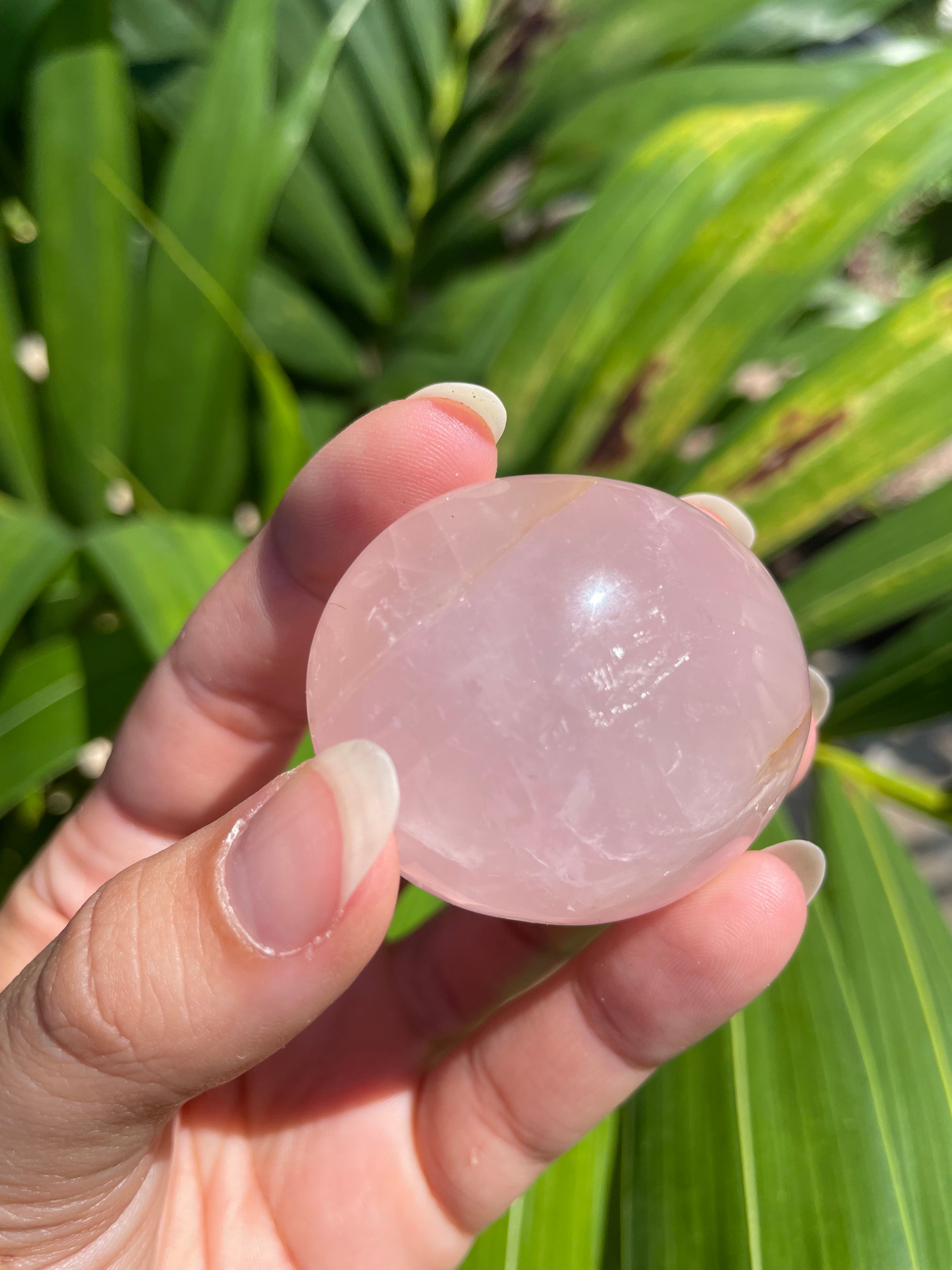 Rose Quartz Palm/Pocket Stone