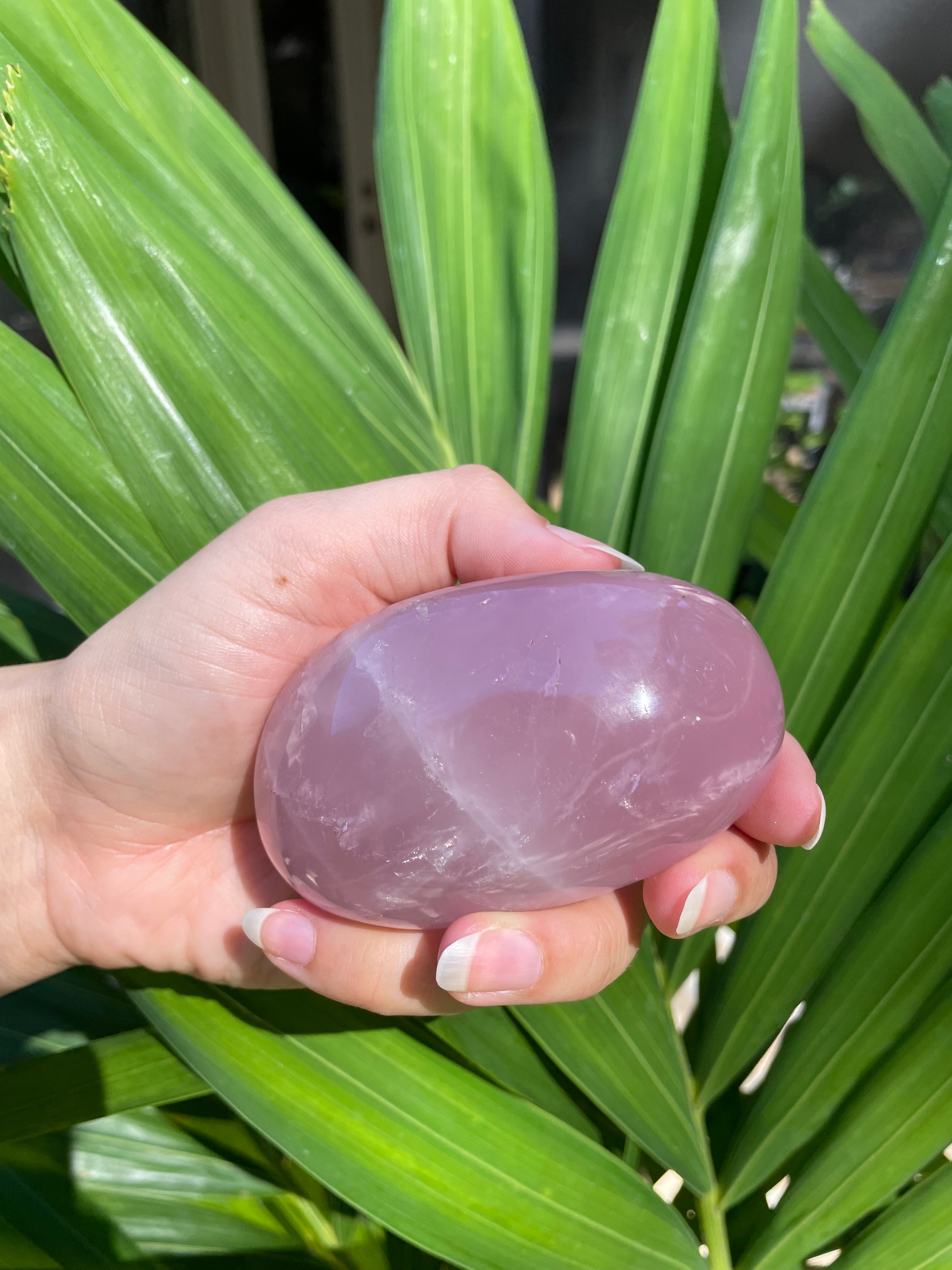 Rose Quartz Palm/Pocket Stone