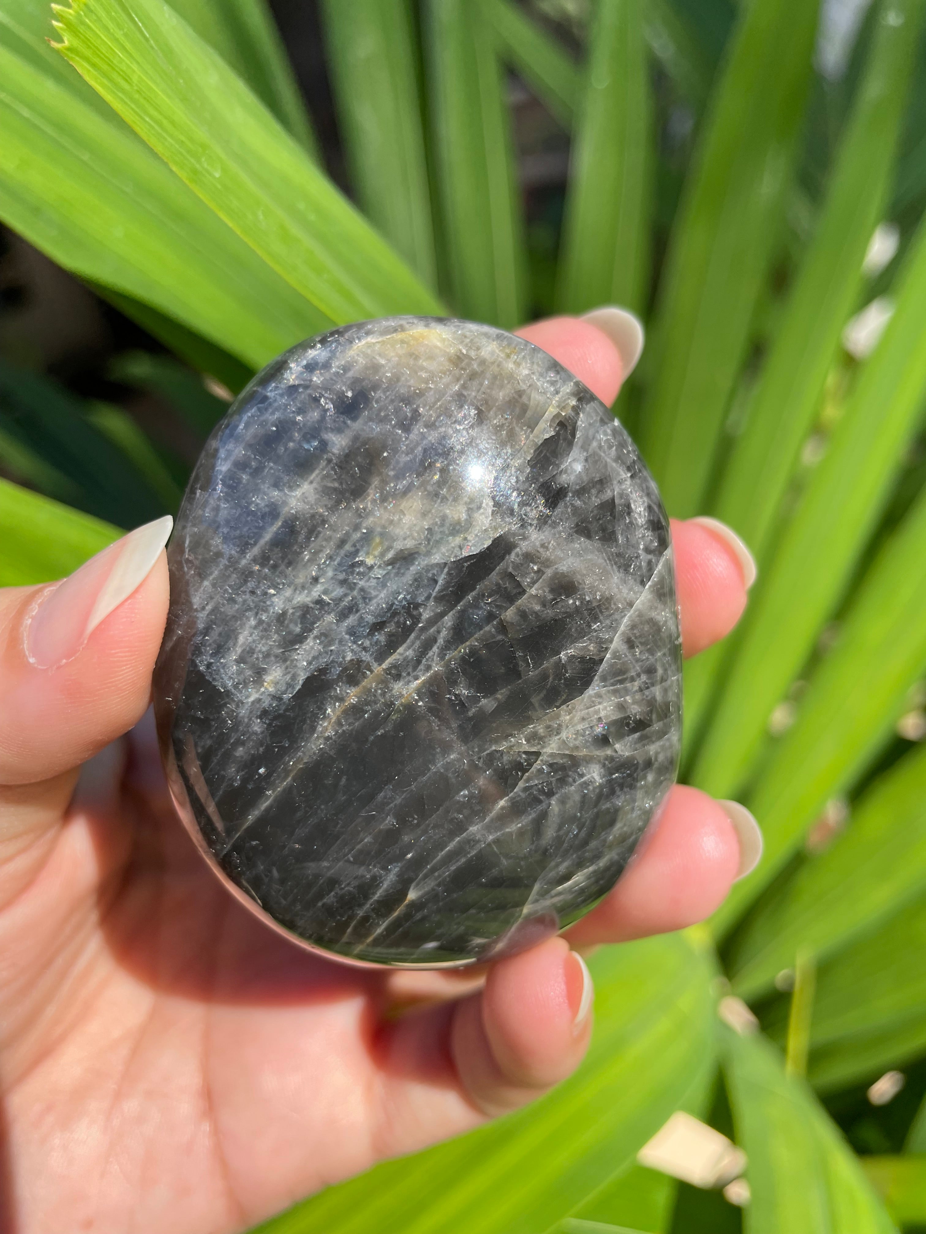 Black Moonstone Palm/Pocket Stone