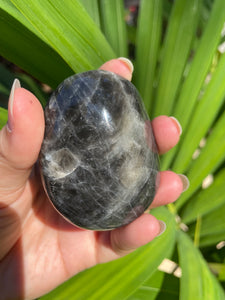 Black Moonstone Palm/Pocket Stone