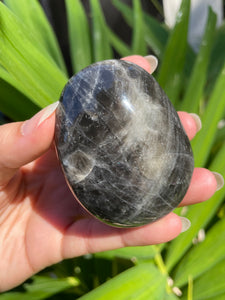 Black Moonstone Palm/Pocket Stone