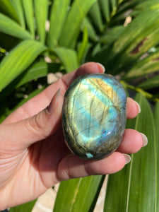 Labradorite Palm Stone