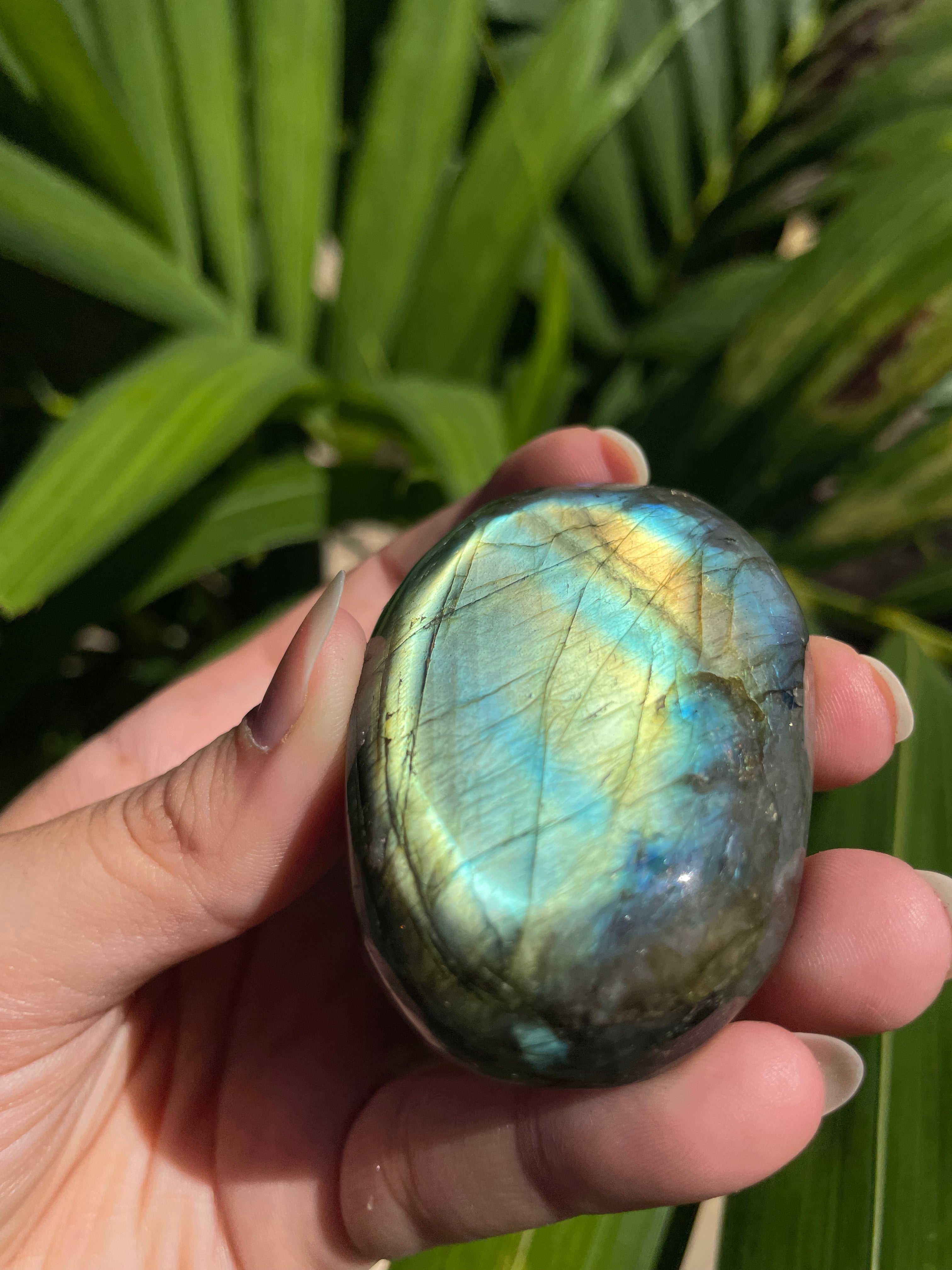 Labradorite Palm Stone