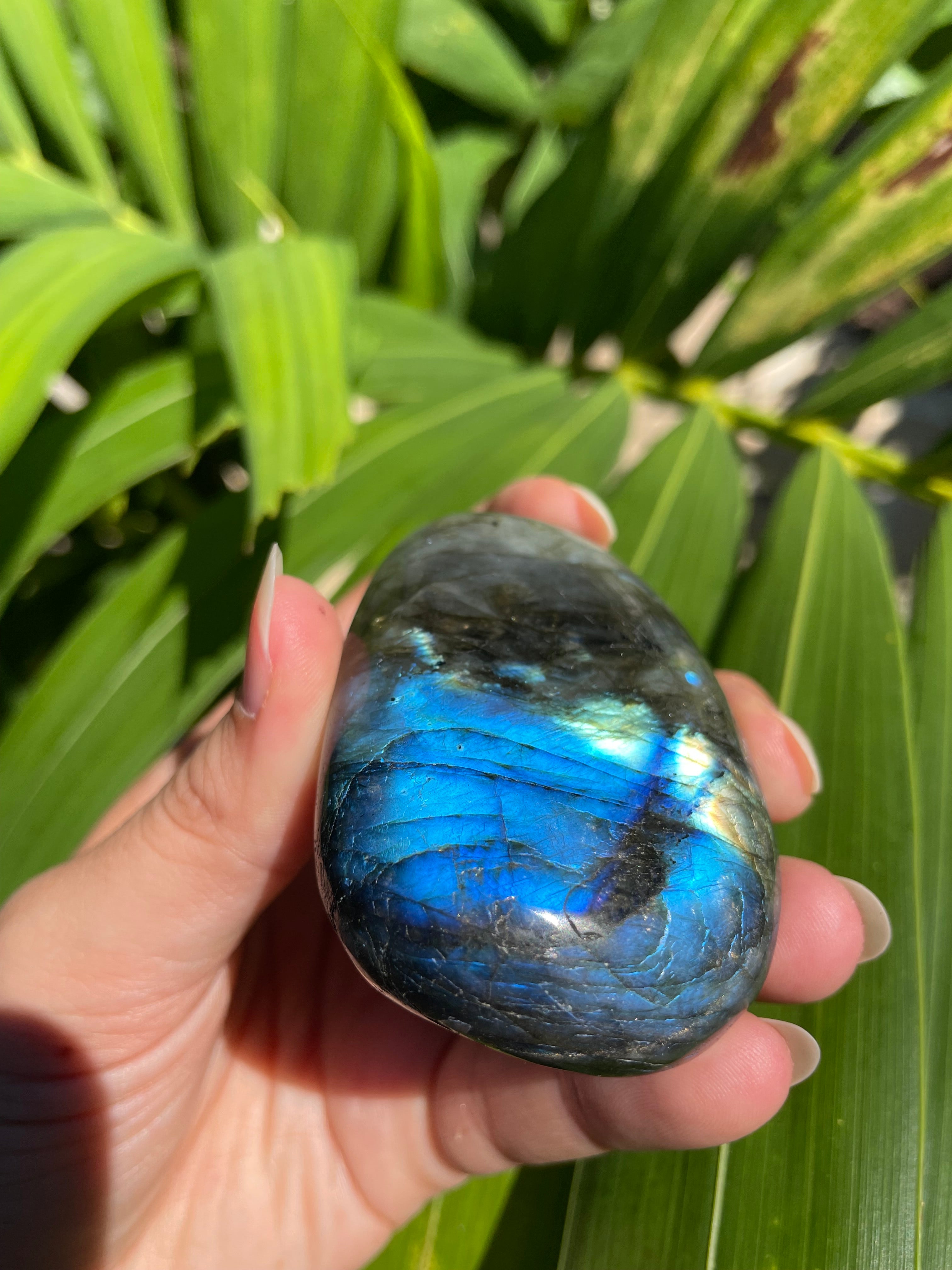 Labradorite Palm Stone