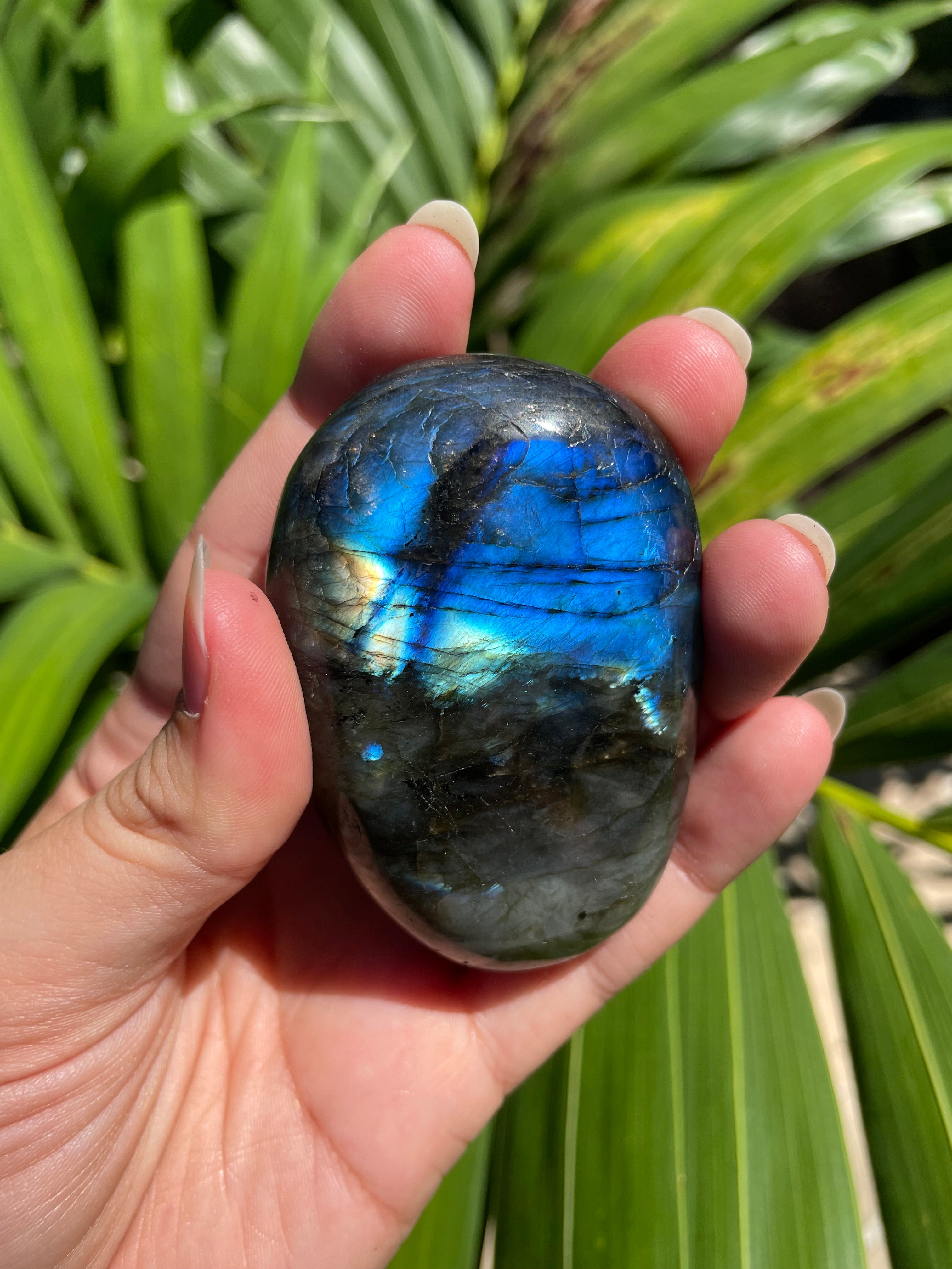 Labradorite Palm Stone