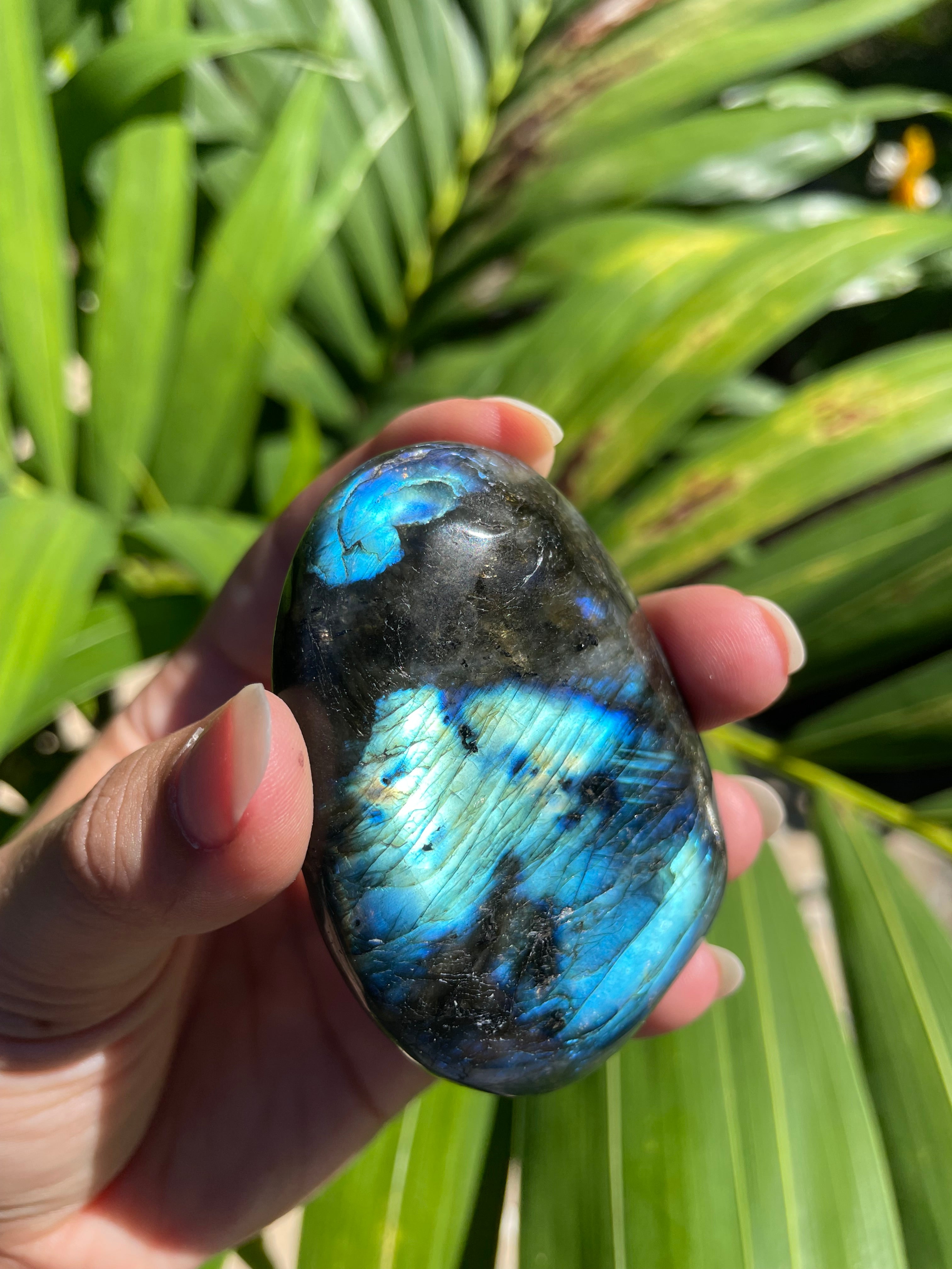 Labradorite Palm Stone