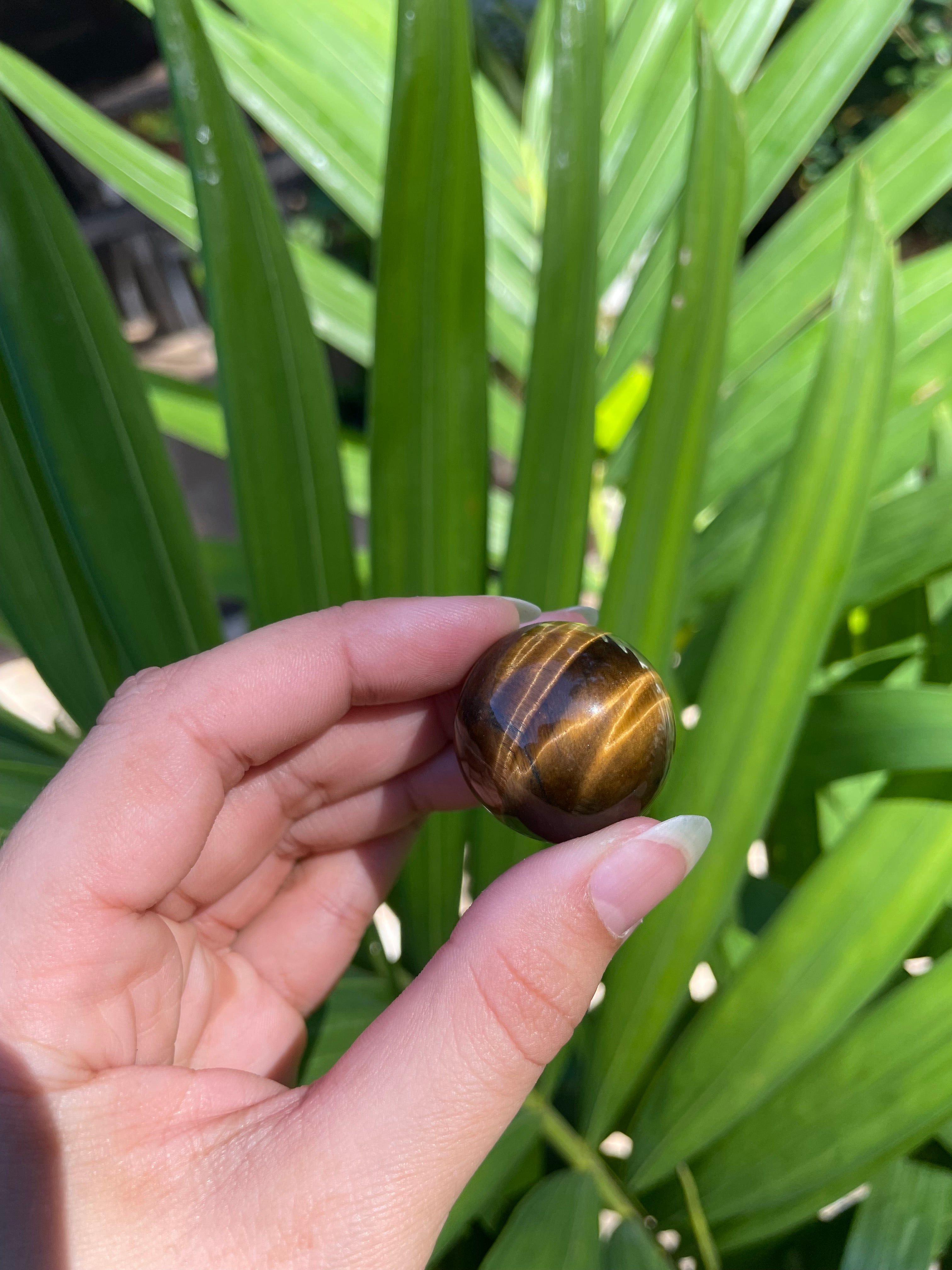 Tiger's Eye Sphere