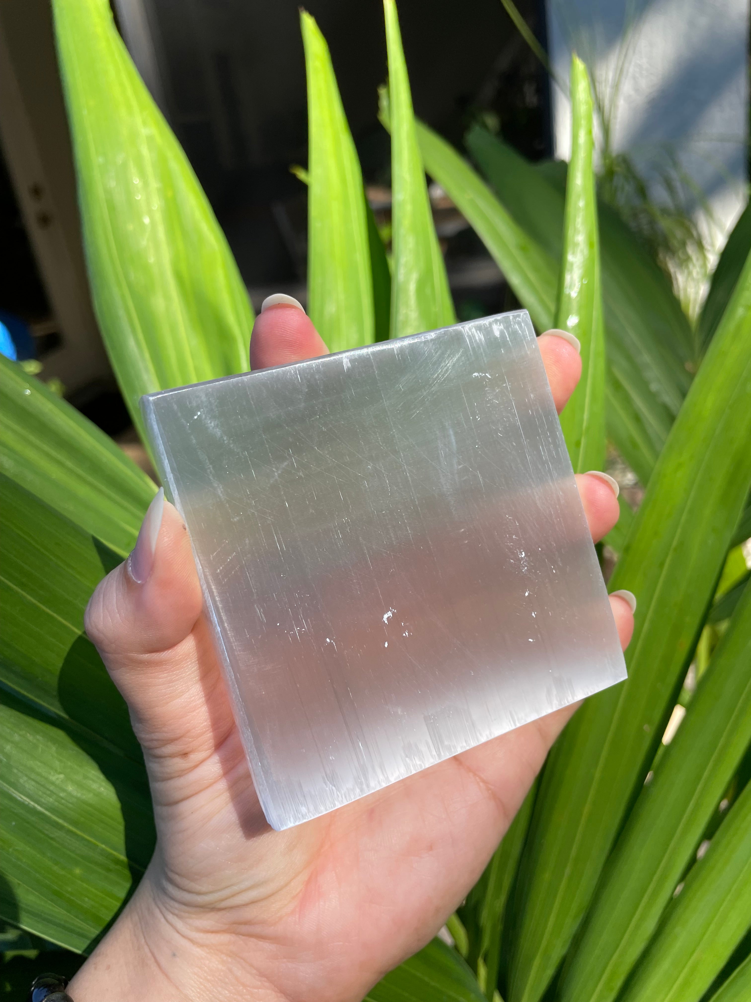 Selenite Satin Spar Charging Plate (Round/Square)